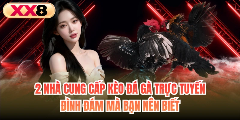 2 nhà cung cấp kèo đá gà trực tuyến đình đám mà bạn nên biết