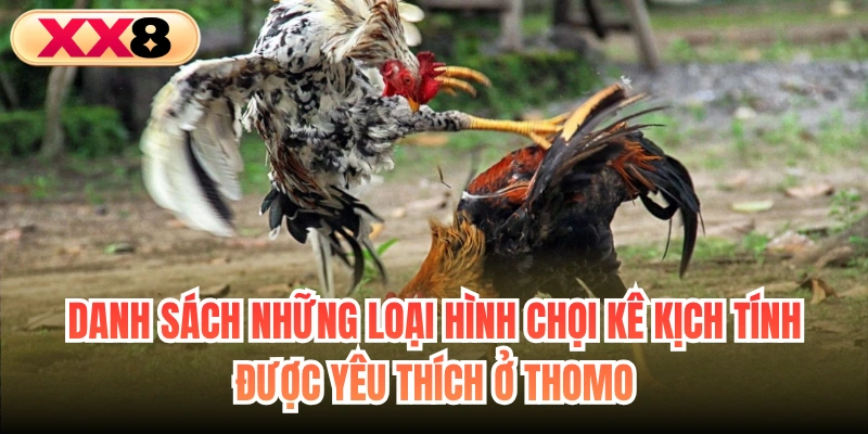 Danh sách những loại hình chọi kê kịch tính được yêu thích ở Thomo