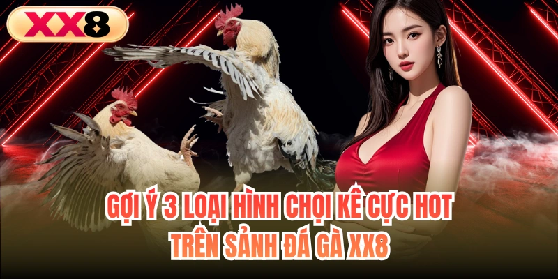 Gợi ý 3 loại hình chọi kê cực hot trên sảnh đá gà XX8
