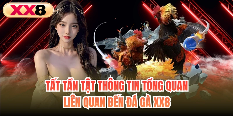 Tất tần tật thông tin tổng quan liên quan đến đá gà XX8